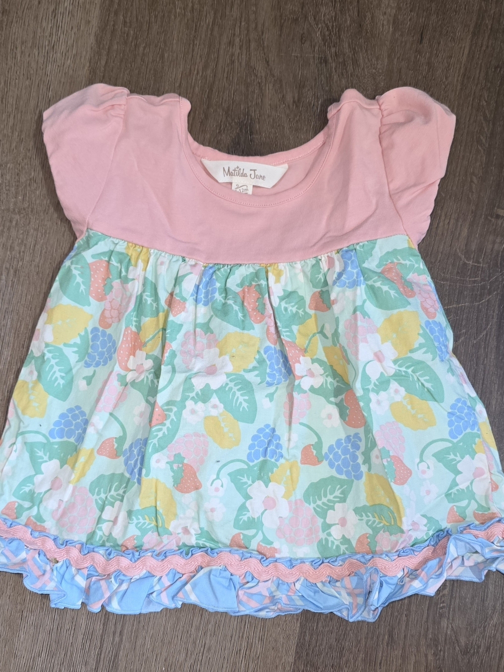 Matilda Jane Pink Bodice Pastel Fruit & Floral Baby Dress